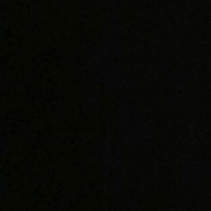 Meet your Posher, Joey